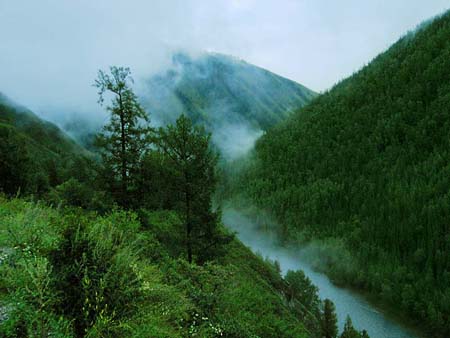 Fog in a valley