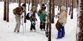 Соревнования по технике лыжного туризма для юниоров